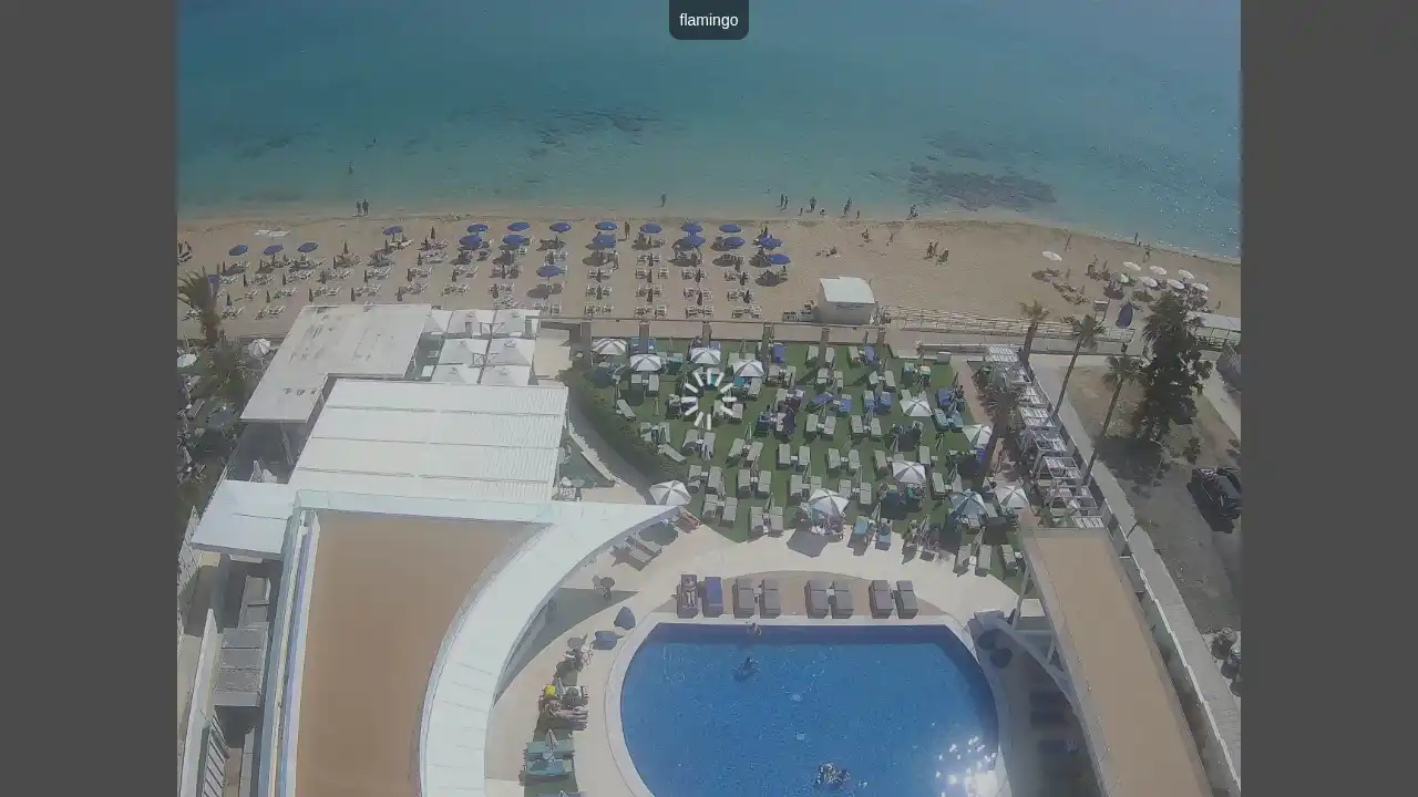 Webcam-Aufnahme aus :city — 8. Juni 2026 08:00