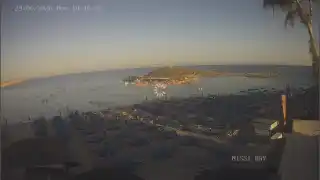 Vorschaubild 29. Juni 2026 17:00 Ayia Napa Zypern - Nissi Beach